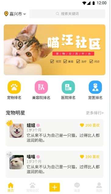喵汪社区(图3)